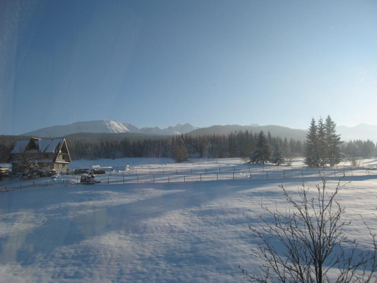 Pokoje Stas Zakopane Eksteriør billede